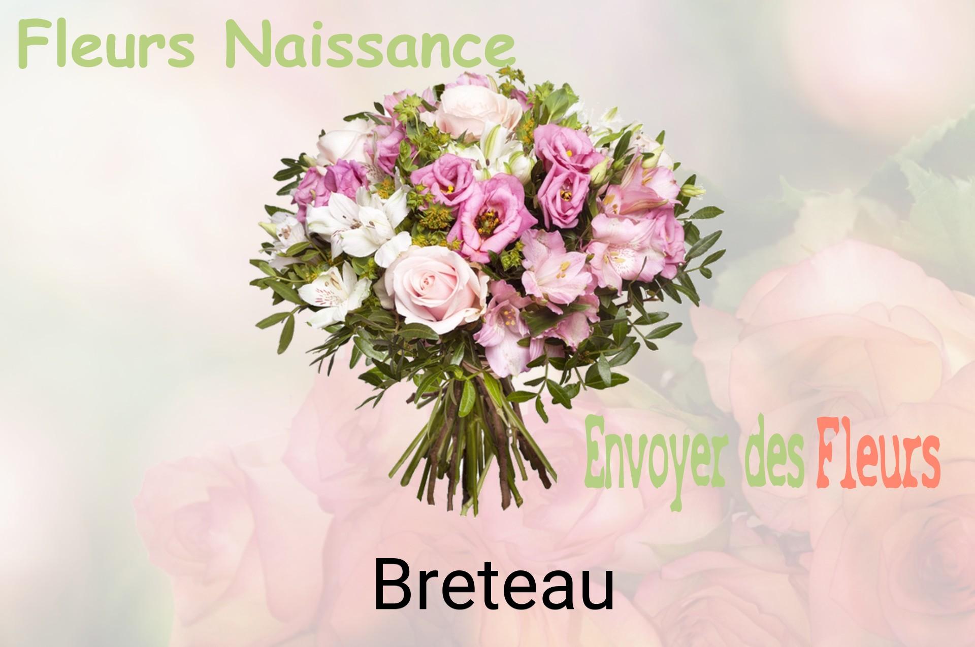 Bouquet de fleurs de naissance livré à Breteau